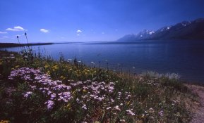 teton jackson lake.jpg