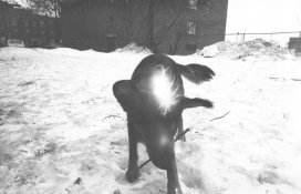 Kafka's spark.jpg