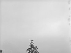 PGK 005 unevenness copy.jpg