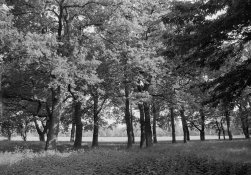 PGK tones 1 copy.jpg