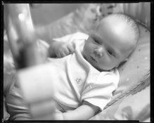 Max8x10.jpg