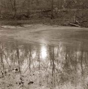 Lilly-Pond-Eagle-Creek-2.jpg