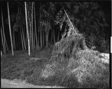 Untitled-1.jpg
