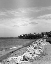 Ansco2.jpg