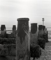Ansco3.jpg