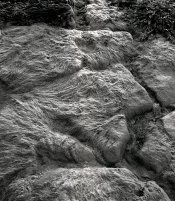 Ansco4.jpg