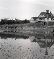 Ansco5.jpg