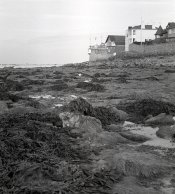 Ansco6.jpg
