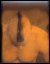 Fuji FP-100C 45 Peeled Late.jpg