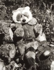 Pancho&Herman-crop.jpg