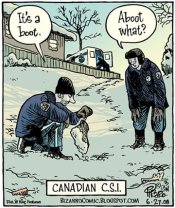 canadian-csi.jpg