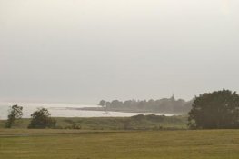 IMG_6740.jpg