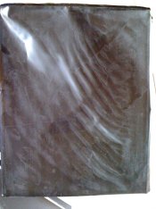 IMG_0652.JPG IMG_0652.JPG