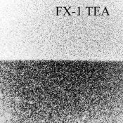 fx-1 tea copy.jpg