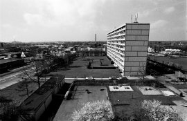 Test Finol No filter.jpg