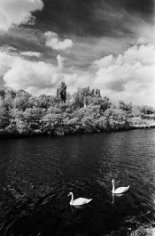 SP200 Beutler GD.jpg