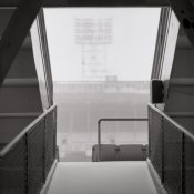 schwab_wings_tiger_stadium.jpg