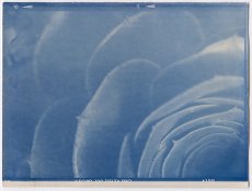 cyanattempt.jpg
