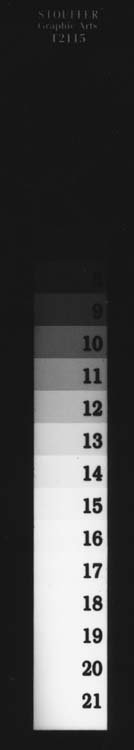 G+B Ilford MGIVRCweb.jpg
