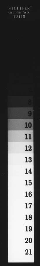 G+BV Ilford MGIVRCweb.jpg