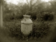 Brenham Milk Jug #1 (adj) sm for web.jpg