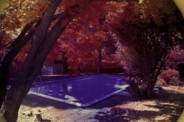 color IR digital.jpg