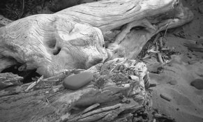 DriftWoodStoneLakeSuperior.jpg