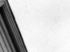 foma200_2015_1.jpg