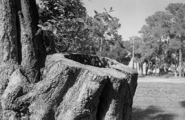 small r3.jpg small r3.jpg