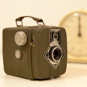 Daci_Royal.jpg Daci_Royal.jpg