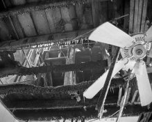 TMY2-Rodinal50-10pt5min-2400-02MSA.jpg TMY2-Rodinal50-10pt5min-2400-02MSA.jpg