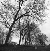 img039.jpg