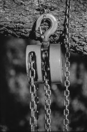 Roll3FP4Homebrew 003.jpg