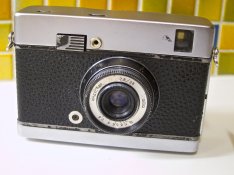 chajka-1.jpg
