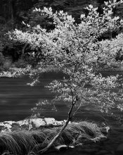img911_edited.jpg