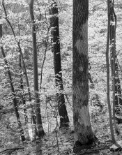 img1155_edited.jpg
