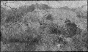 cal002.jpg cal002.jpg