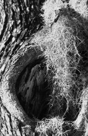 small a3.jpg small a3.jpg