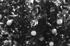 small a9.jpg small a9.jpg