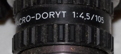 macro2.jpg
