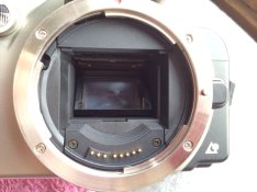ImageUploadedByTapatalk1390941319.717739.jpg