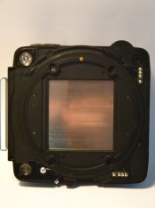 DSC03980.jpg
