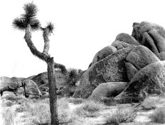 img480_2.jpg
