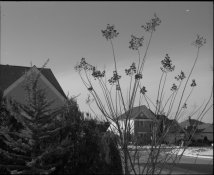 No correct004-1-2.jpg