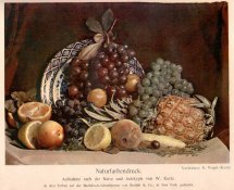 Still-life_of_fruit_using_3-color_process.jpg