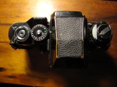 IMG_7365.JPG