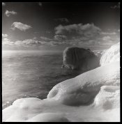 Temperance 3 -003.jpg