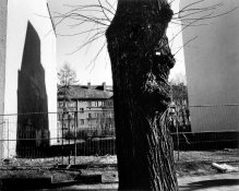 dsallen | Parkstraße | 2012.jpg