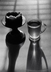 20140211-01 TriX 400 Zorki-4-61 07 gimp.jpg