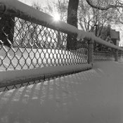 HP5+ Test 009.jpg